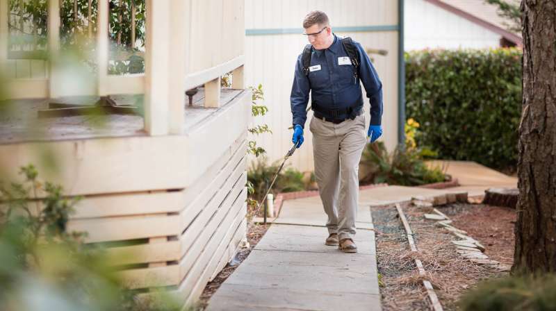 Integrated Pest Management (IPM)